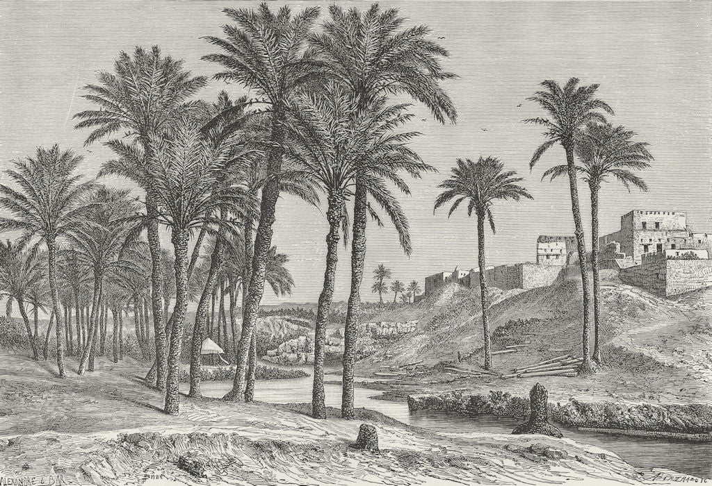 EGYPT. Sefi Canal at Fidemin-el-Fayum c1885 old antique vintage print picture